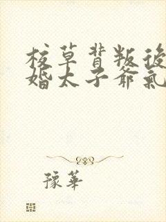 校草背叛后我闪婚太子爷气疯他苏念笙全文
