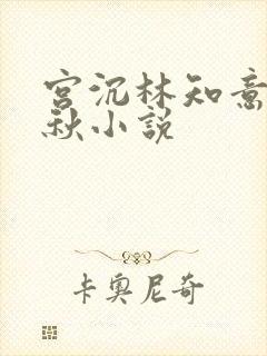 宫沉林知意宋婉秋小说