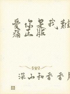 爱你是我难言的痛正版
