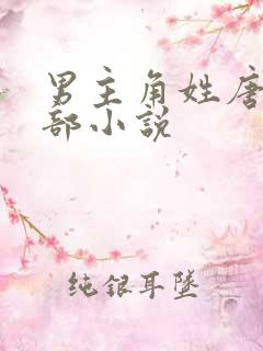男主角姓唐的全部小说