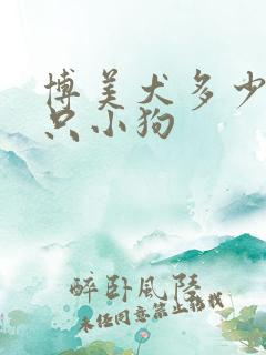 博美犬多少钱一只小狗