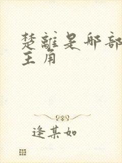 楚离是哪部小说主角