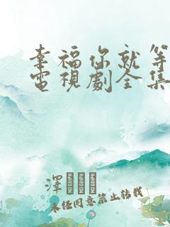 幸福你就等等我电视剧全集免费观看