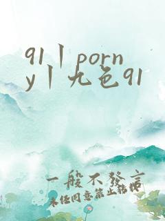 91丨porny丨九色91