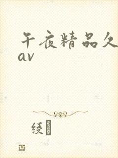 午夜精品久久久av