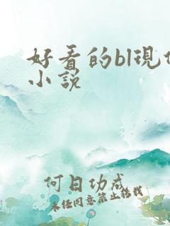 好看的bl现代小说