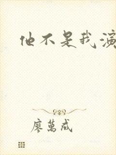 他不是我演员表