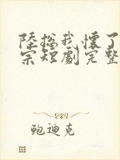 陆总我怀了小祖宗短剧完整版