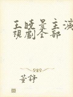 王晓晨主演的电视剧全部