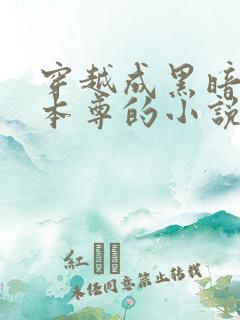 穿越成黑暗迪迦本尊的小说起点