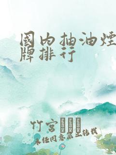 国内抽油烟机品牌排行