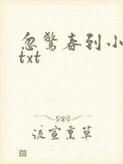 忽惊春到小桃枝txt
