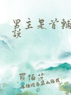 男主是首辅的小说