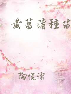 黄菖蒲种苗报价