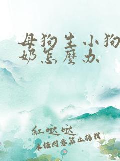 母狗生小狗没有奶怎么办