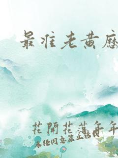 最准老黄历算命