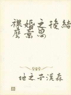 裸婚之后结局什么意思