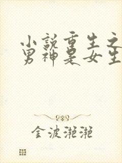 小说重生之国民男神是女生