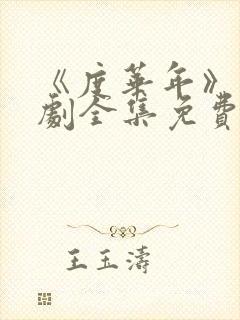 《度华年》电视剧全集免费观看 《度华年》电视剧全集免费观看