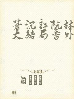 萧沉许阮林依然大结局番外