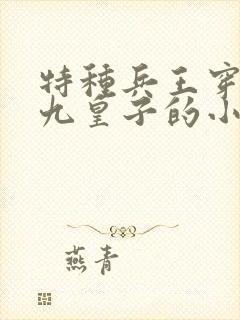 特种兵王穿越成九皇子的小说