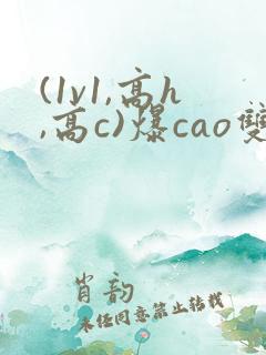 (1v1,高h,高c)爆cao双男主