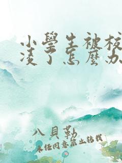 小学生被校园霸凌了怎么办