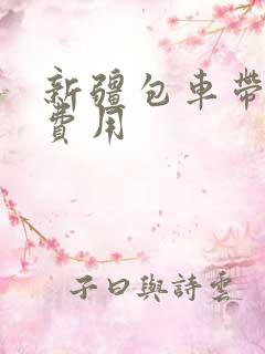 新疆包车带司机费用