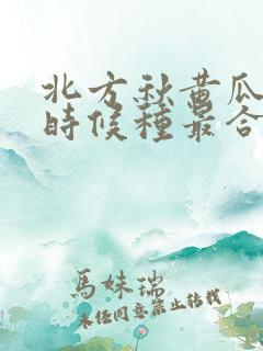 北方秋黄瓜什么时候种最合适