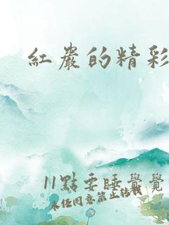 红岩的精彩情节