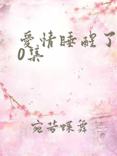 爱情睡醒了第40集