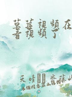 草莓视频在线观看视频了