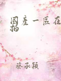 国产一区在线偷拍