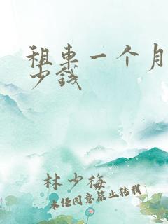 租车一个月要多少钱