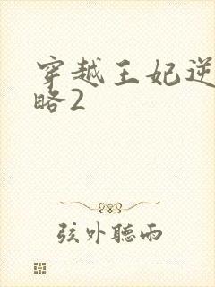 穿越王妃逆袭攻略2