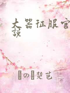 大器征服官场小说