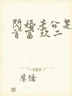 闪婚老公是千亿首富 玖二