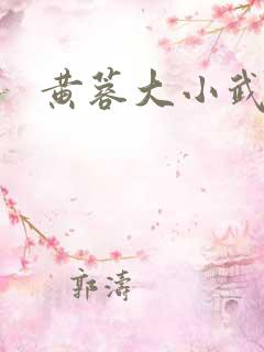 黄蓉大小武番外