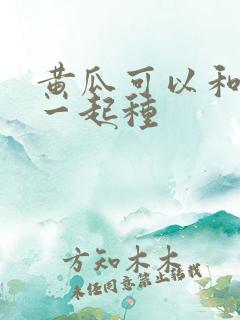 黄瓜可以和什么一起种