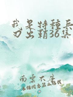 我是特种兵之利刃出鞘36集