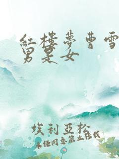 红楼梦曹雪芹是男是女