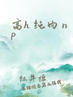 高h 纯肉 np