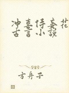 冲喜侍妾花想容古言小说 冲喜侍妾花想容古言小说