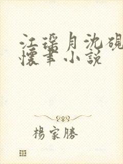 江瑶月沈砚之孟怀聿小说