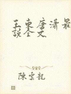 王东唐潇最新小说全文