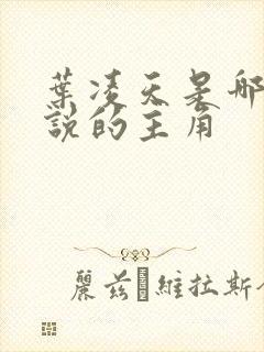 叶凌天是哪部小说的主角