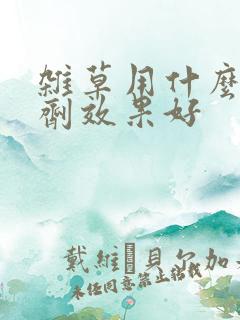 杂草用什么除草剂效果好