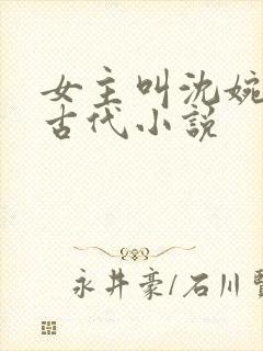女主叫沈婉婷的古代小说
