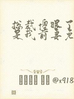 总裁傻眼了:这是我前妻免费阅读 总裁傻眼了:这是我前妻免费阅读
