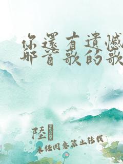 你还有遗憾吗是哪首歌的歌词